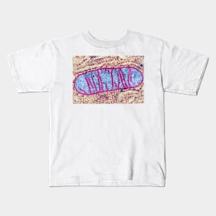 Mitochondrion, TEM (G465/0069) Kids T-Shirt